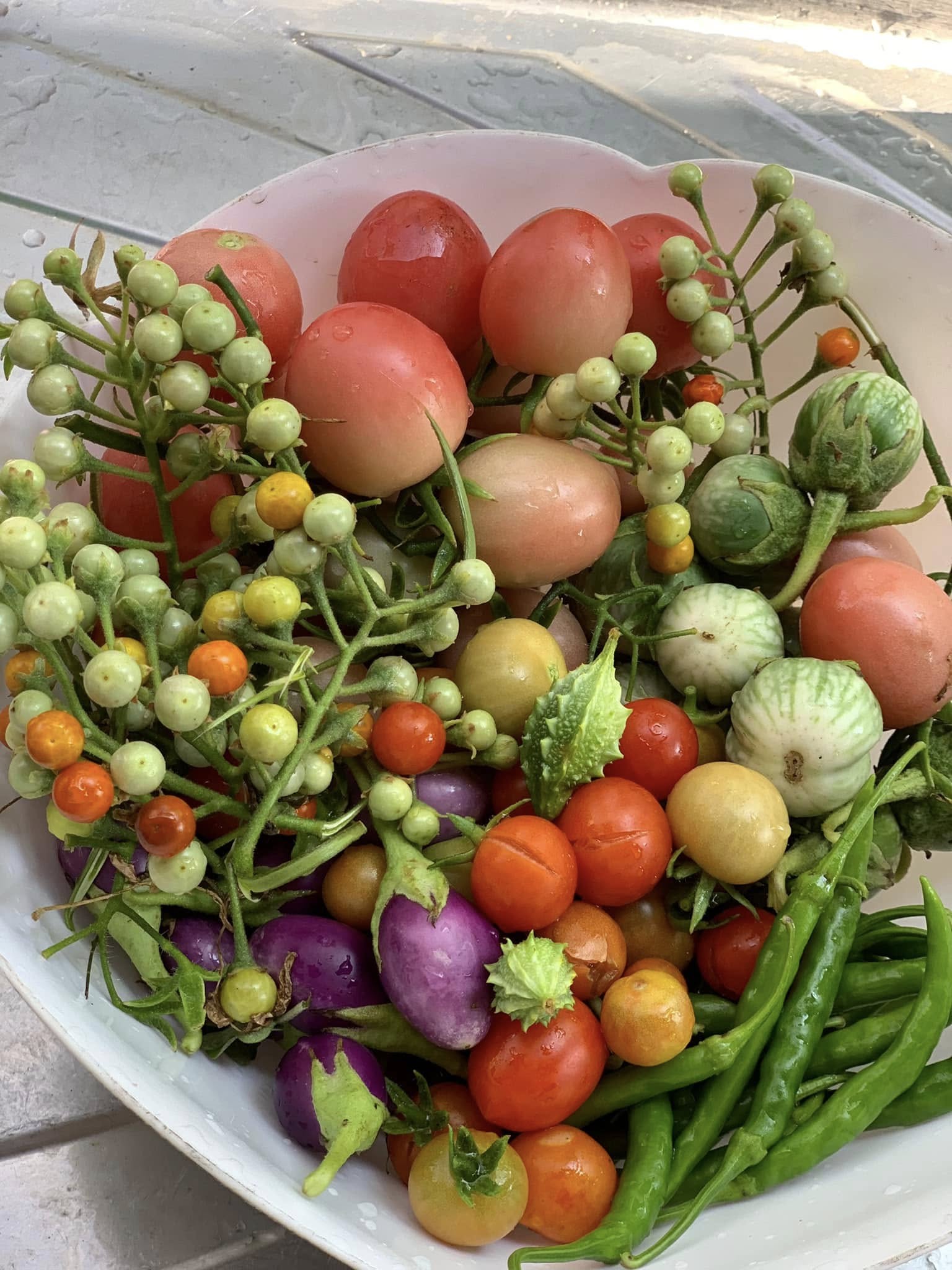 Kulho täynnä värikkäitä vihanneksia