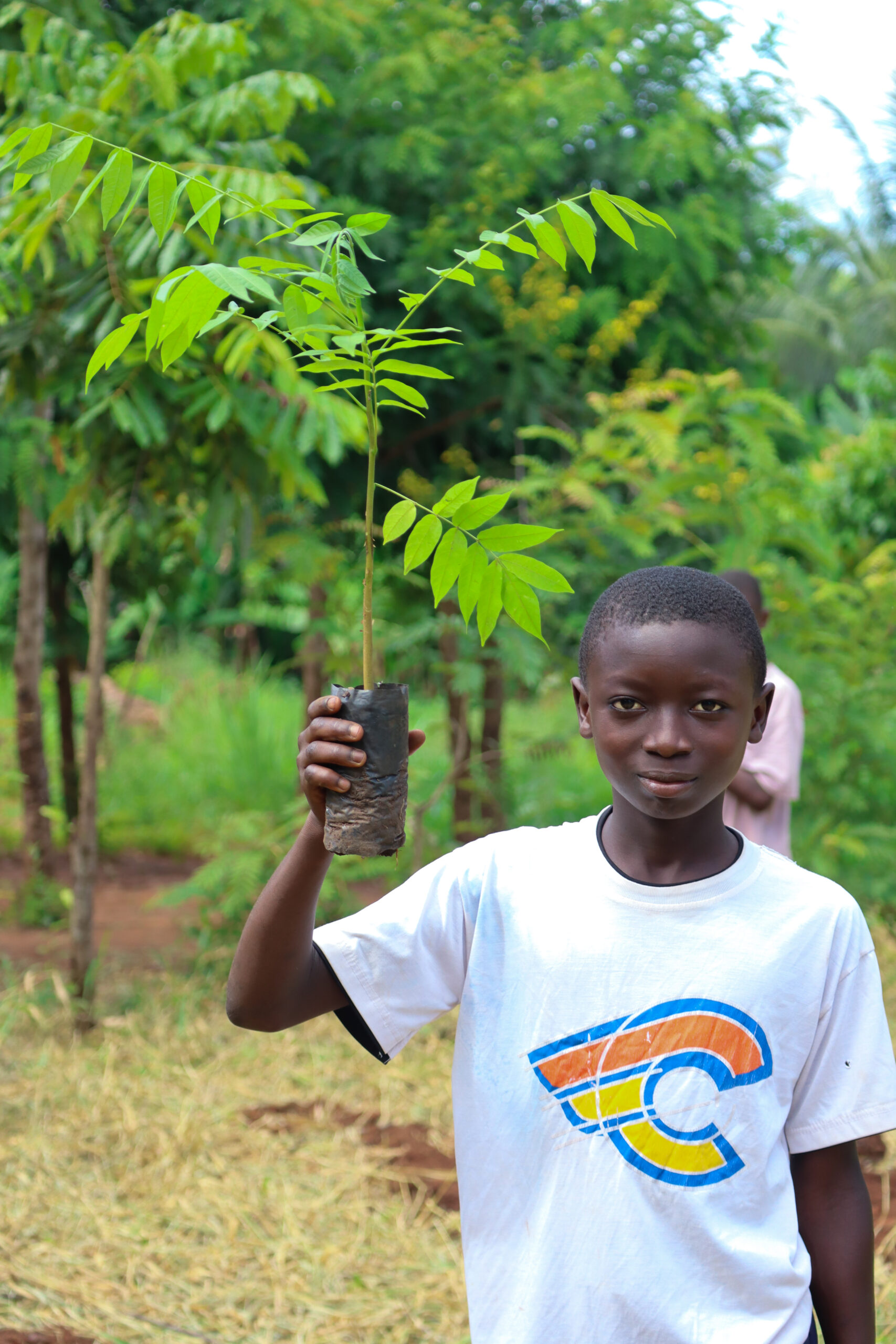 A child holding a tree seedling.