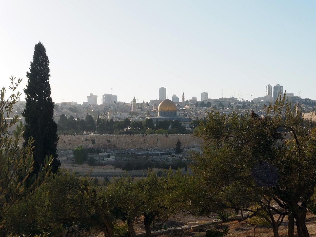 Kuvassa etualalla puita ja taustalla siintää Jerusalemin siluetti jossa näkyy muun muassa kultakupolinen Kalliomoskeija ja vanhaakaupunkia ympäröivä muuri.